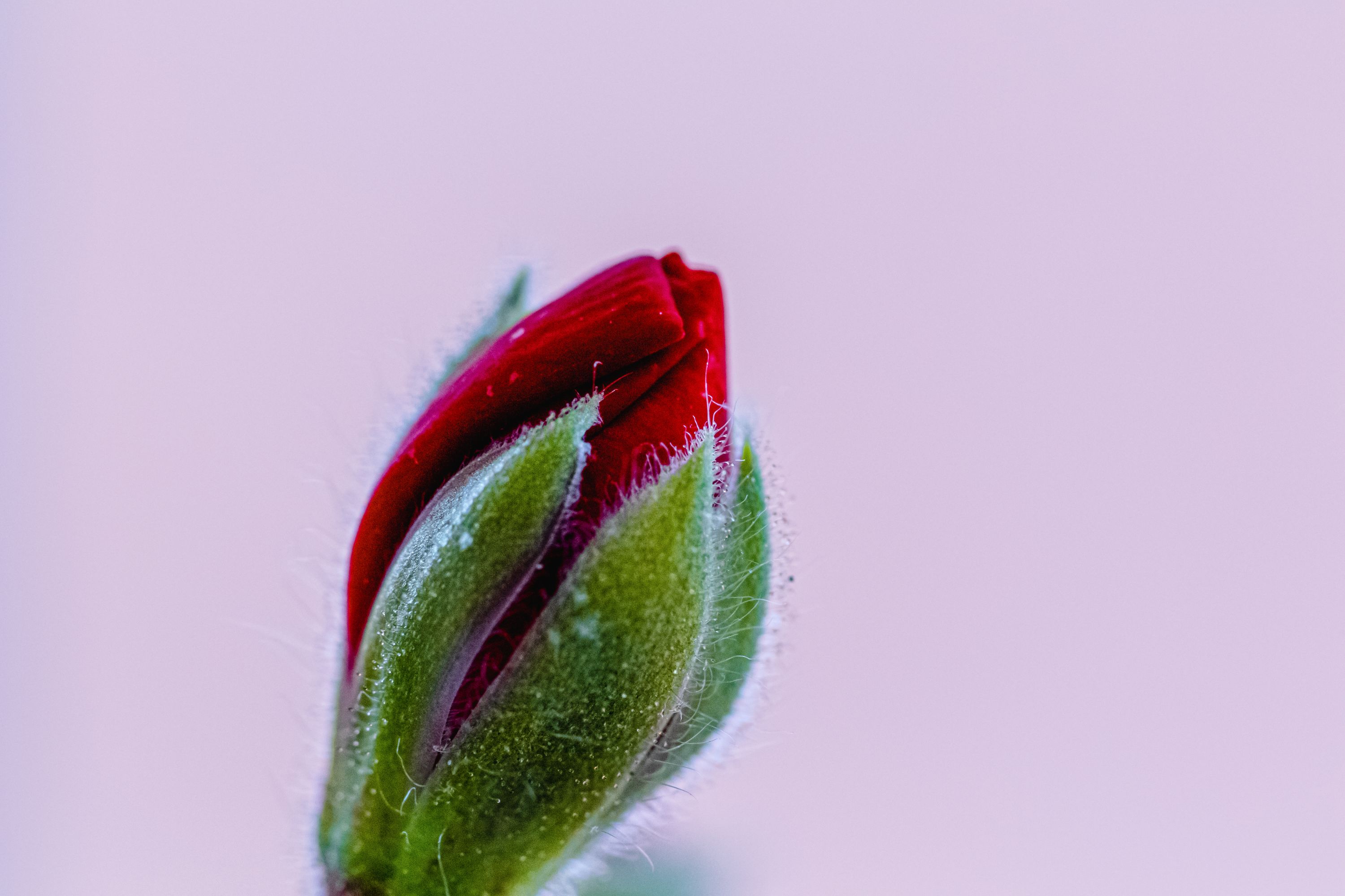 6 Varias junio 2022 3-13062022-0446